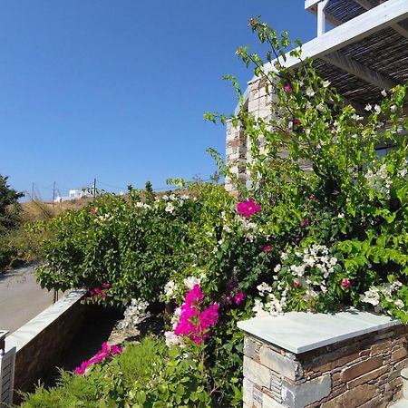 Aeolia Villas การิสโตส ภายนอก รูปภาพ