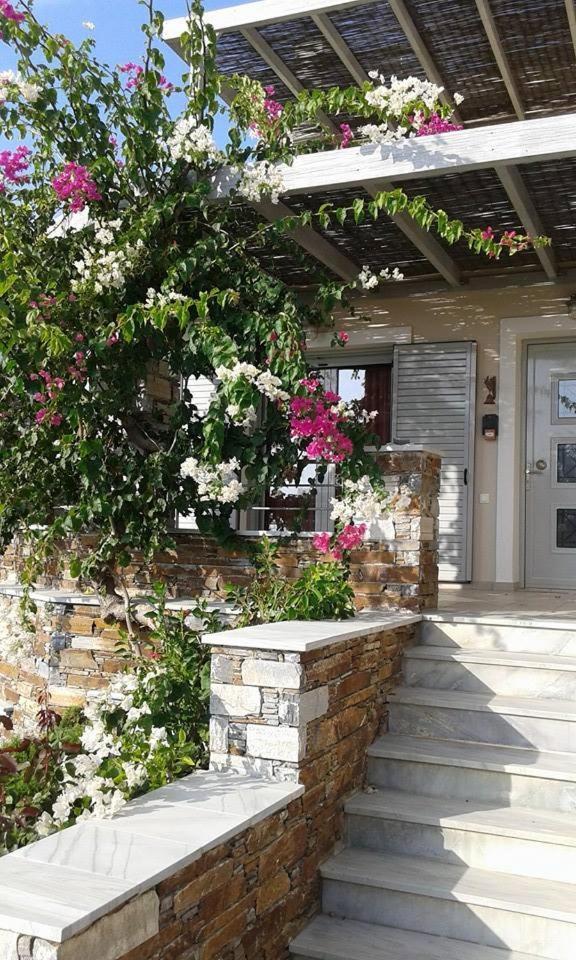 Aeolia Villas การิสโตส ภายนอก รูปภาพ
