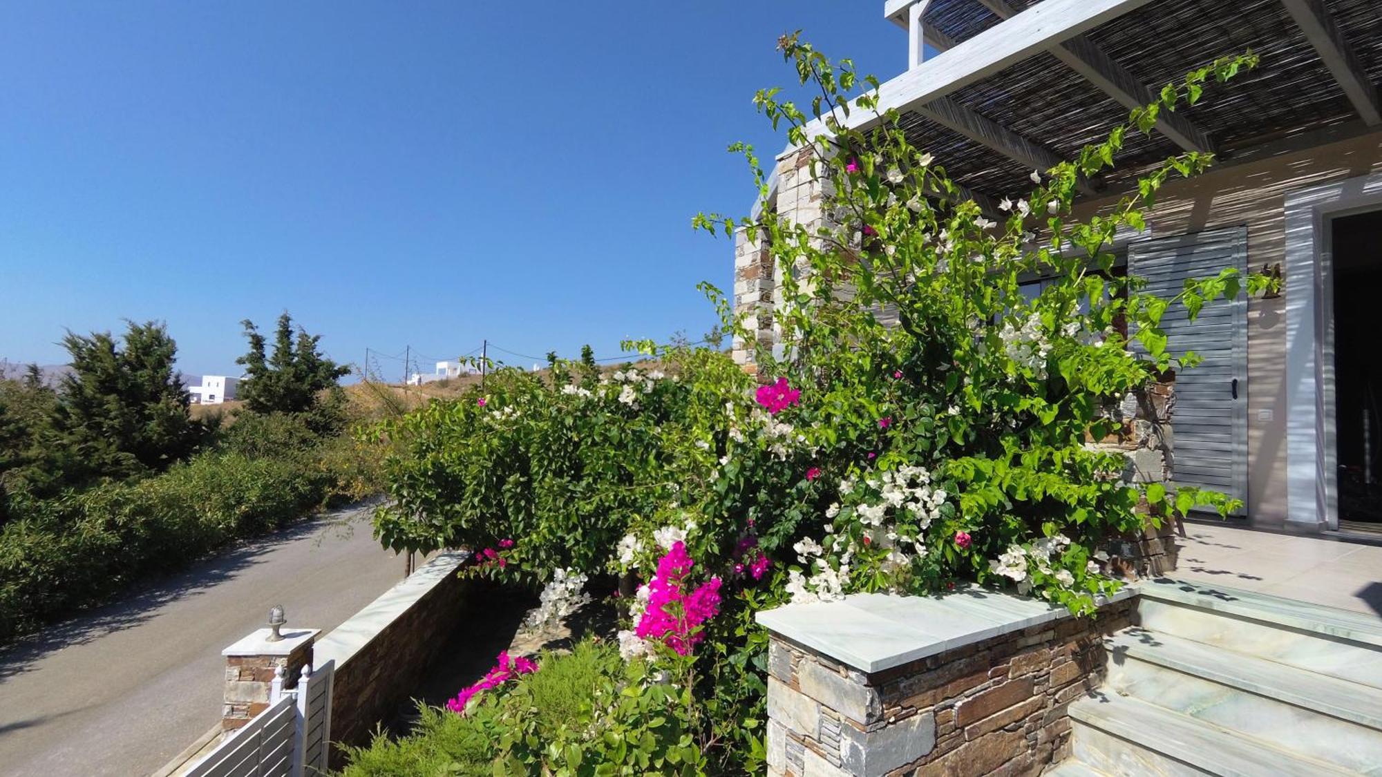Aeolia Villas การิสโตส ภายนอก รูปภาพ